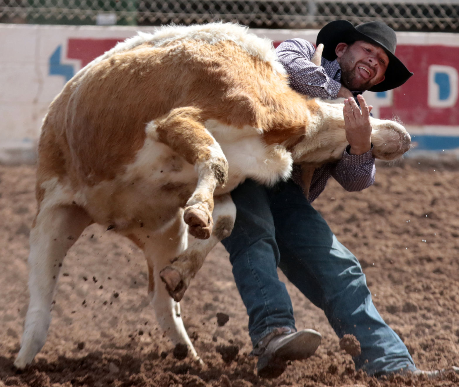 Tucson Rodeo